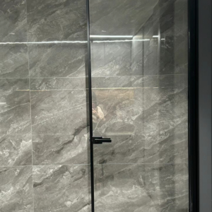 OG-MN-3009 Minimalist Glass Door
